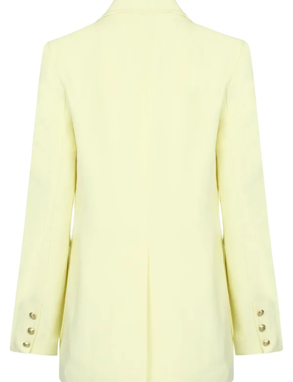 Blazer Vajen Geel