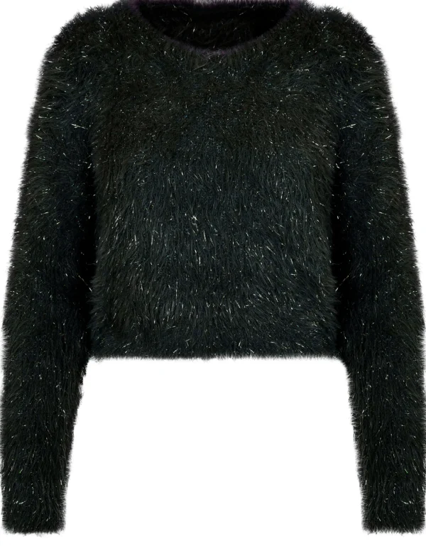 Glitter trui Lisa Zwart