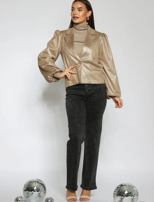 Laulia | Straight leg jeans T241-4 Grijs